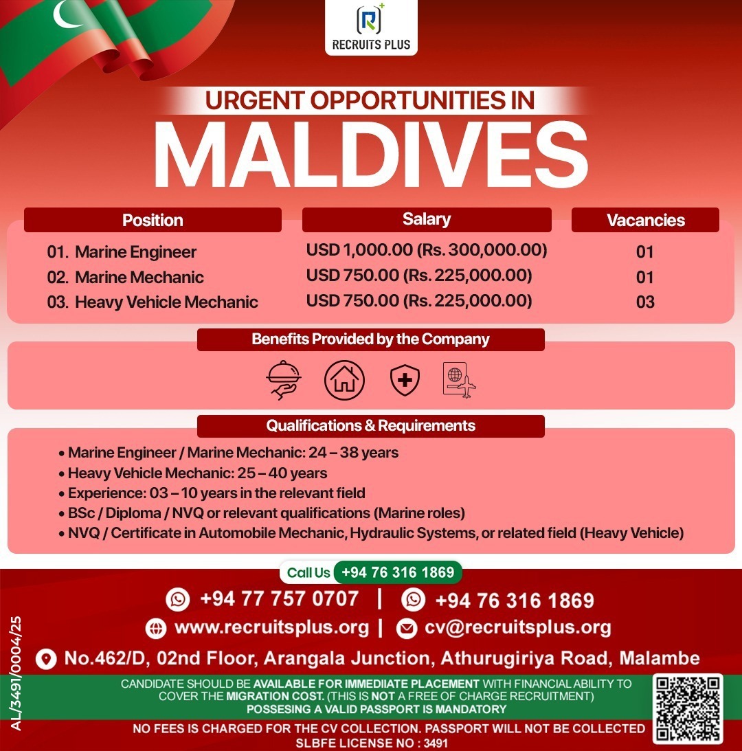 Christmas Popup Image